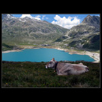 ...a tady trůnila ona...