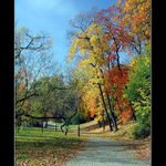 Podzim červenožlutozelený