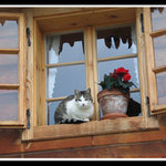 Už aby mě pustili dovnitř...