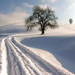 K zimě patří hodně sněhu.