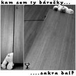 kam sem ty dárečky sakra dal?