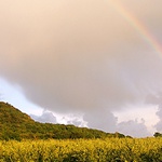 Duha nad Hazmburkem.
