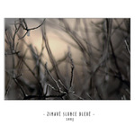 **ZIMAVÉ SLUNCE BLEDÉ**