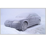 winter collection II