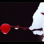 Šťastné a veselé :-)