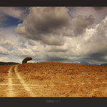 Někdy v životě je  lepší ohnout hřbet ...