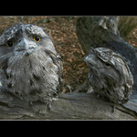 Co na me tak blbe cumi... :o))))