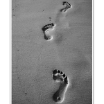 .:míjení s velbloudem:.