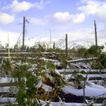 Vysoké Tatry 2004 III.