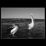 Takze ty sa so mnou nerozpravas? Odchadzam!!!