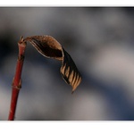 .. starý a nový ..