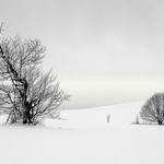 tichá zimní příroda...