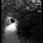 Snezno/lesny tunel