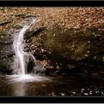 Poslední podzimní........