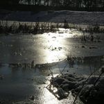 odraz v zamrzlém rybníku