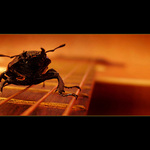 H G E alebo večerné blues
