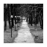 Zima v mojom meste III...