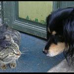 A opravdu mě vemeš s sebou?