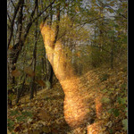 Jesenná prechádzka