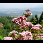 Vzpomínka na Babí Léto