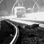Asi mi ujela tramvaj...