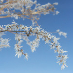 moje druha letosni zimni...