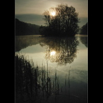 Milotický rybník XIV.