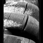 ...linie dřeva a první sníh I.