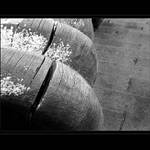 ...linie dřeva a první sníh II.