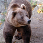 Foto do zoo-občanky :)