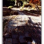 Japonská zahrada I.