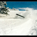 Jeden tygr v Zillertálu