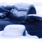 PF 2006 ****NEBODOVAT!!!****