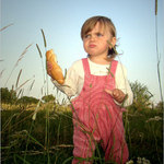 Letos byla příliš vysoká tráva