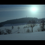 Stíny na Harusově kopci