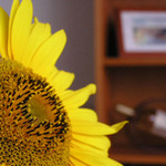 ...vzpomínka na léto..