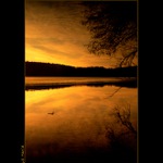 ..:: EmocE III. ::..