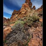 Roques de Garcia