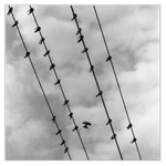 ...dávno jsou pryč...