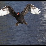 Těsně před přistáním