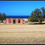 Uprostřed pole, uprostřed léta