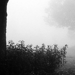 Mlha na Svatém Tomáši