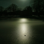 ...ledové jiskření...