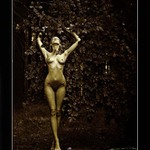 ...zpátky ke kořenům...