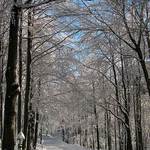 Zasnežený chodníček