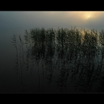 Hmlisté prebúdzanie II.