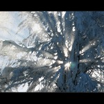 Keď vonku mrzne II.