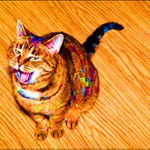 Yupeee!! SilvesTr.  Hodně štěstí indajír 2006 vinšuje šťastná kočičaká Trudy