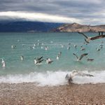 Rozčarování před bouří