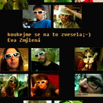 brejlovci na PP pro rok 2005